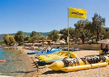 Izer Club 4* Τόρμπα