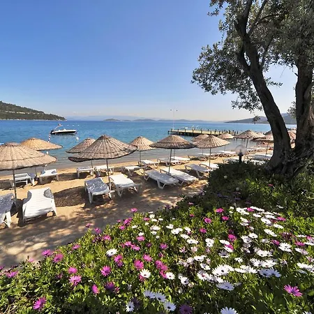 Θέρετρο Izer Club Τόρμπα