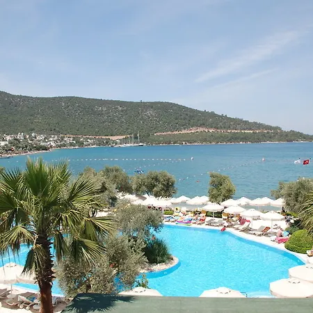 Izer Club 4* Τόρμπα